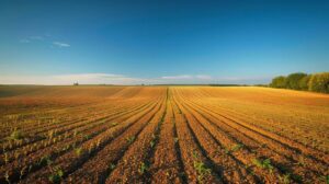 Comment la loi AGEC affecte-t-elle l’agriculture?